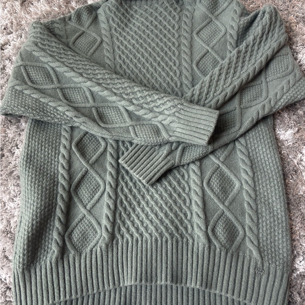 Aritzia petty turtleneck